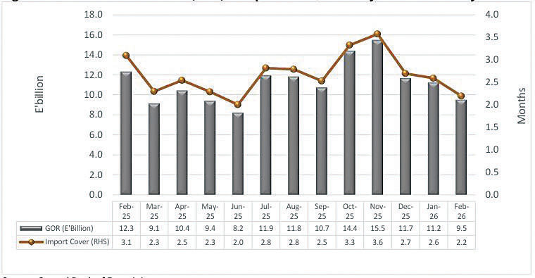 Gross official reserves (Gor) and import cover; February 2025 to February 2026.